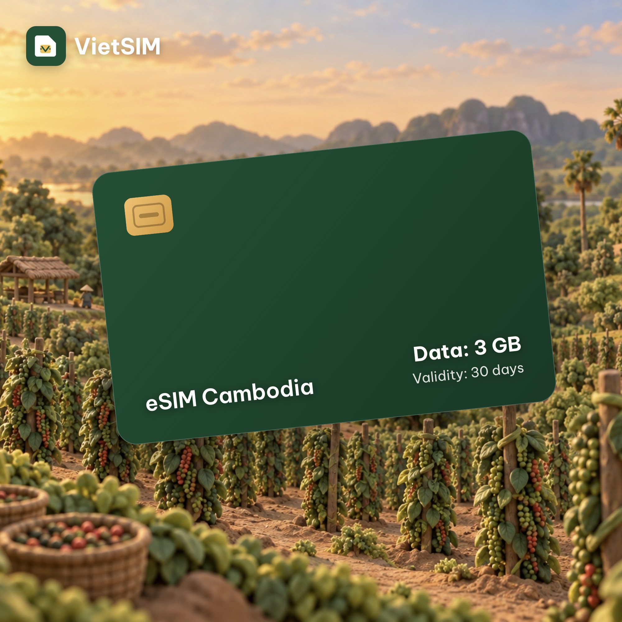 Cambodia eSIM 3GB 30 days