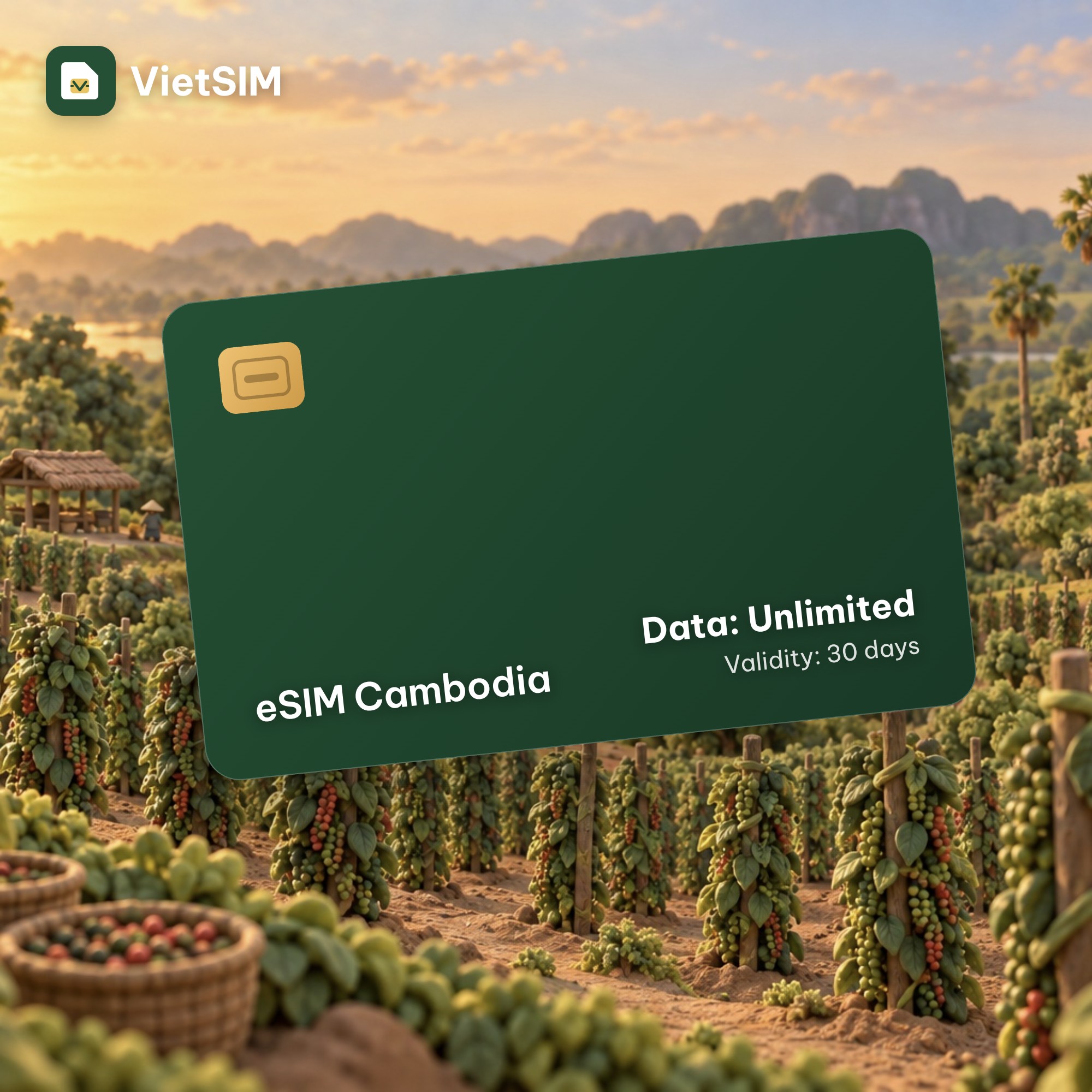 Cambodia eSIM Unlimited Data 30 days