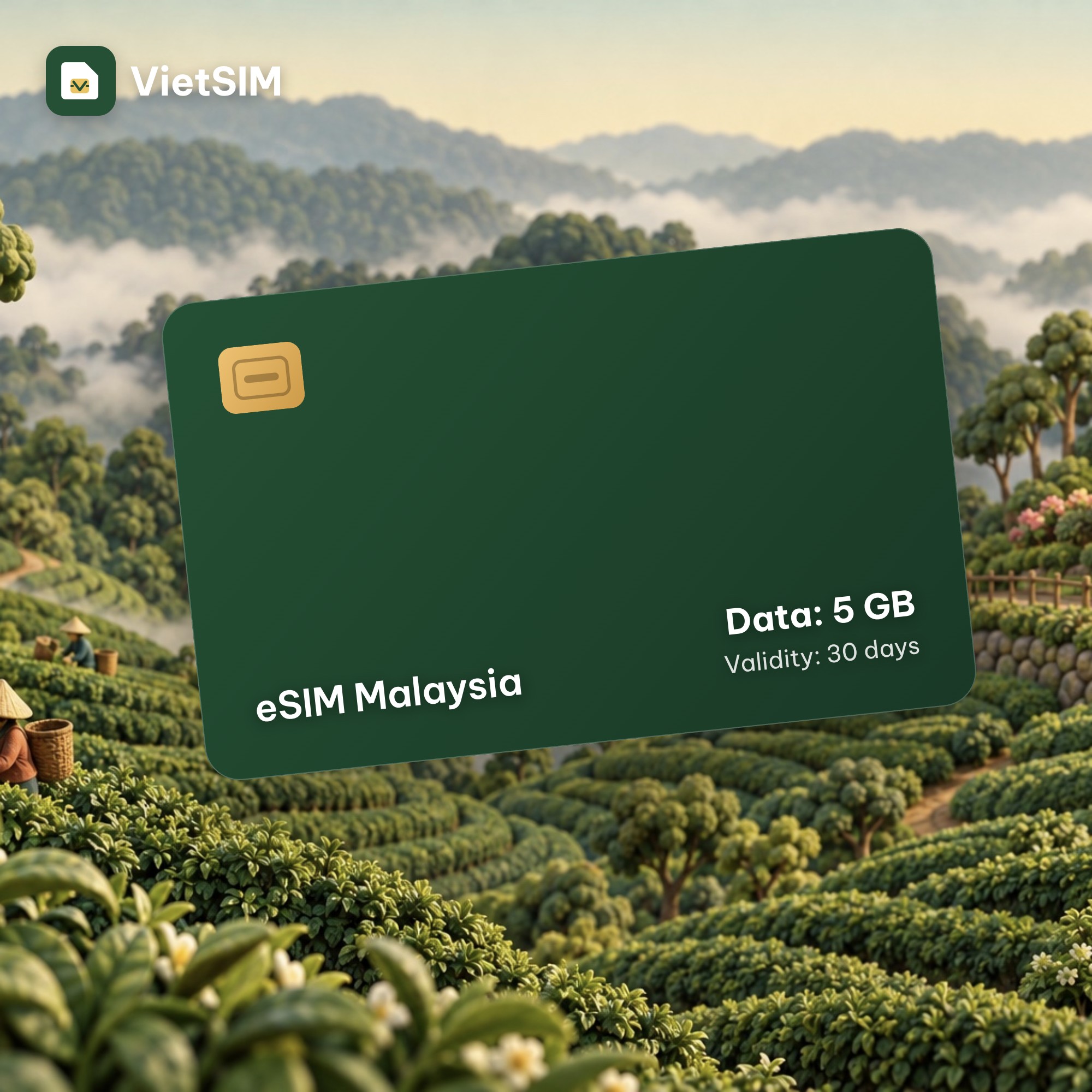 Malaysia eSIM 5GB, 30 days