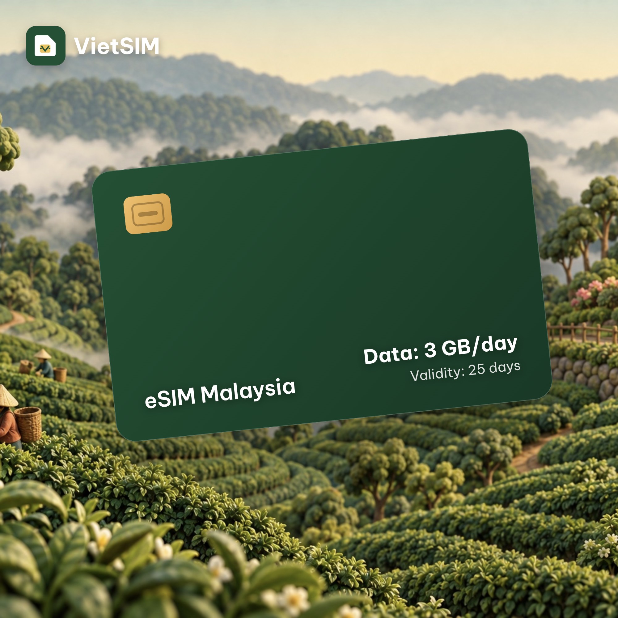 Malaysia eSIM Daily 3GB 25 days