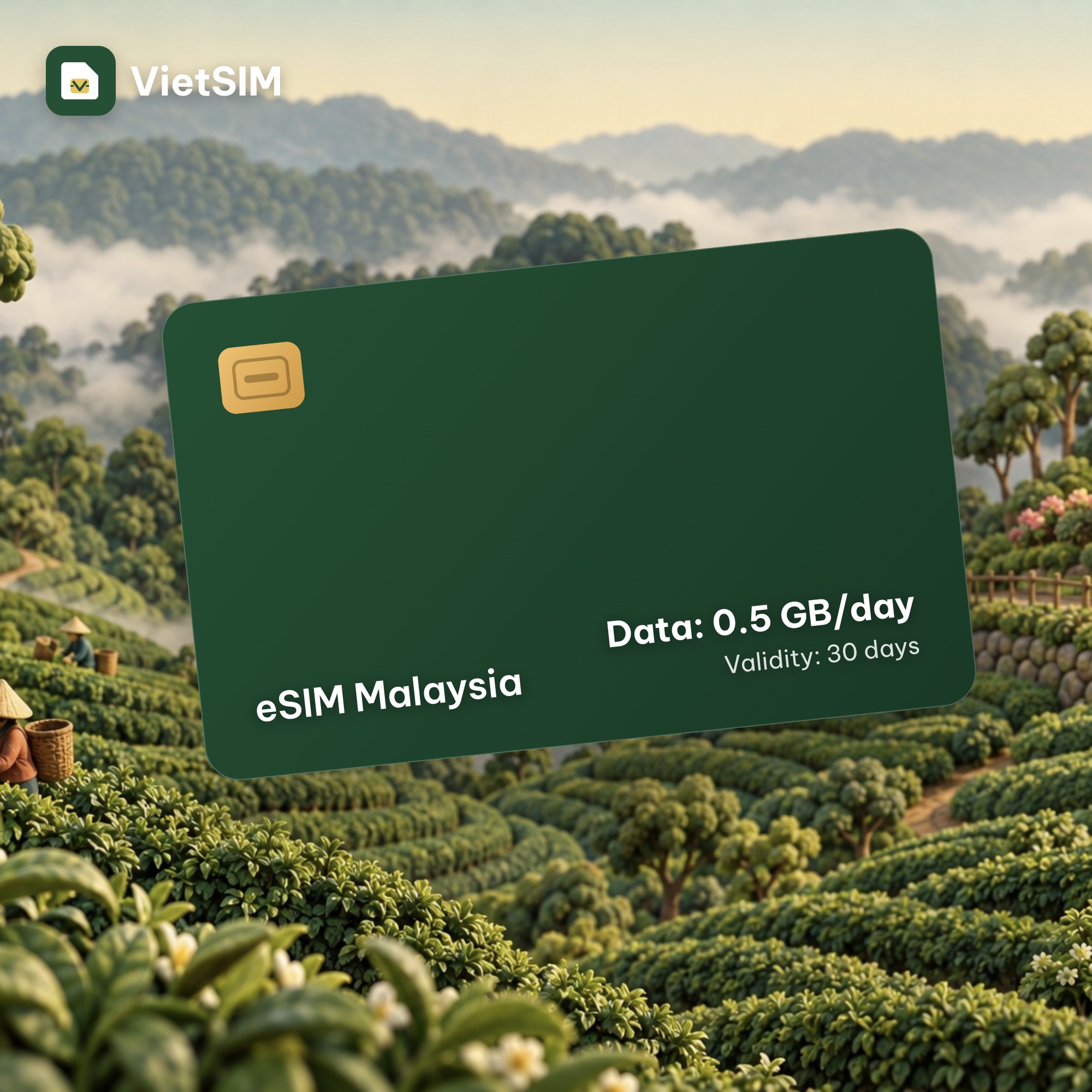 Malaysia eSIM Daily 500MB 30 days