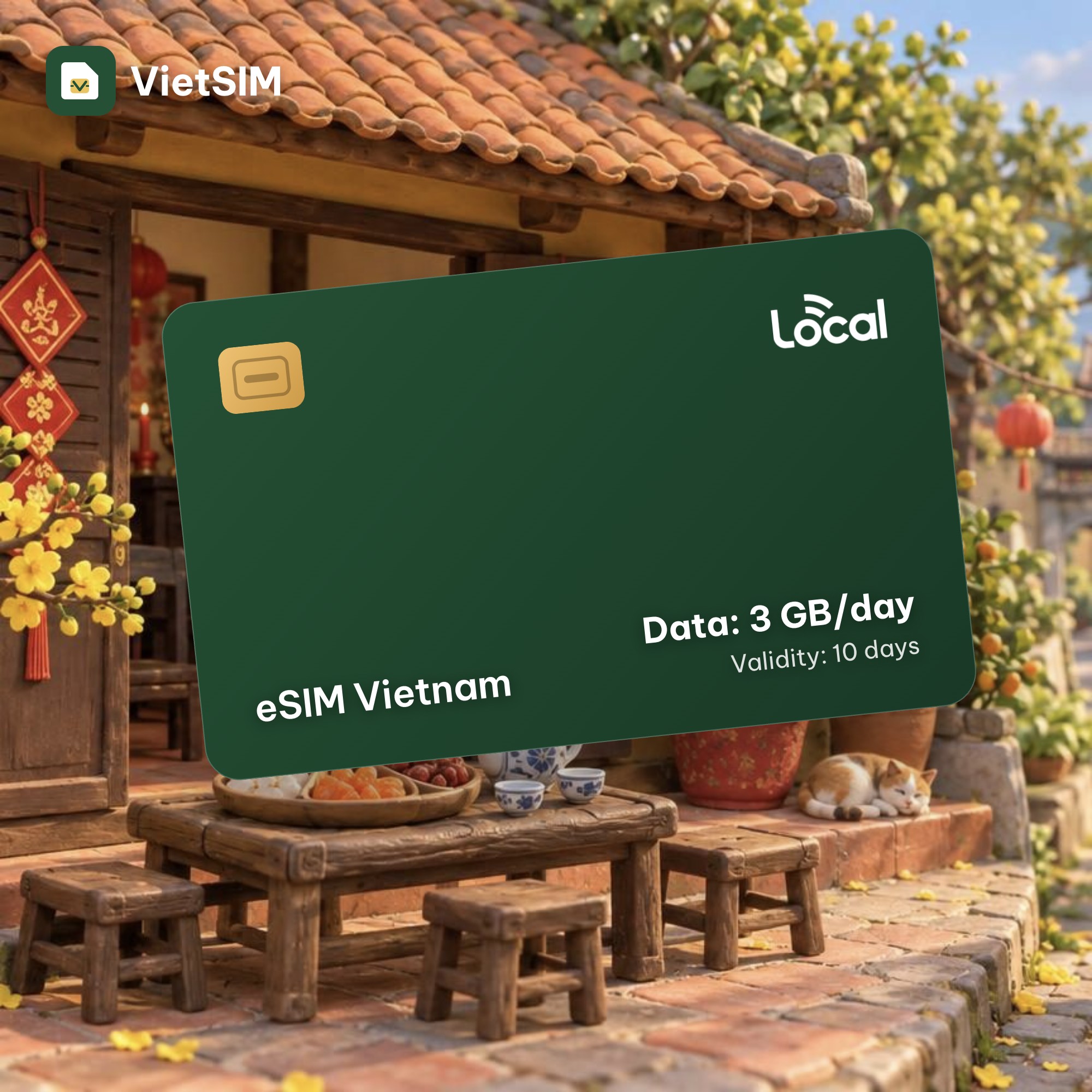 Vietnam eSIM Local (MobiFone) 3GB/day, 10 days