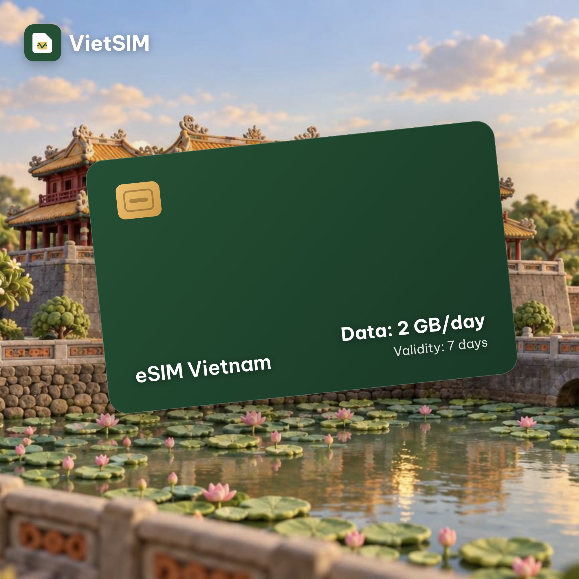 Vietnam eSIM VinaPhone 2GB/day, 7 days